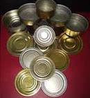 Жестебанка цельнотянутая 